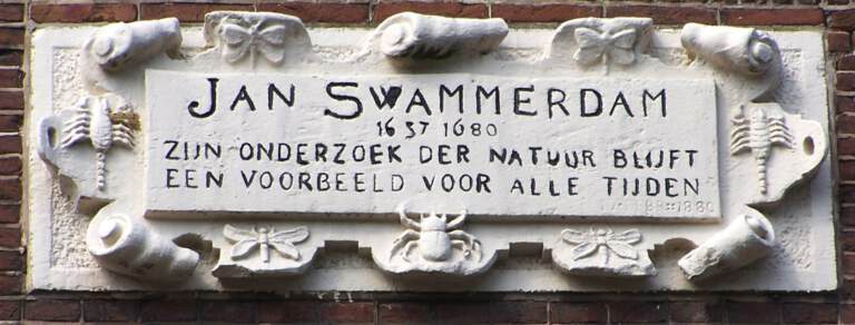 Vandaag Jarig: Jan Swammerdam, februari 1637