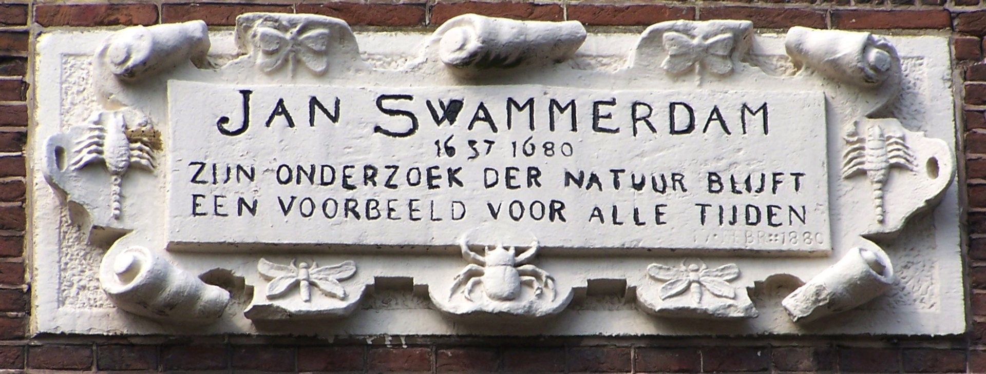 Vandaag Jarig: Jan Swammerdam, februari 1637